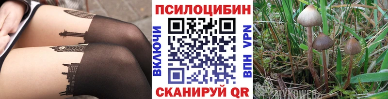 Псилоцибиновые грибы Psilocybine cubensis  Дубовка 